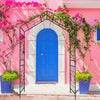 Elegant Climbing Arch for Gardens