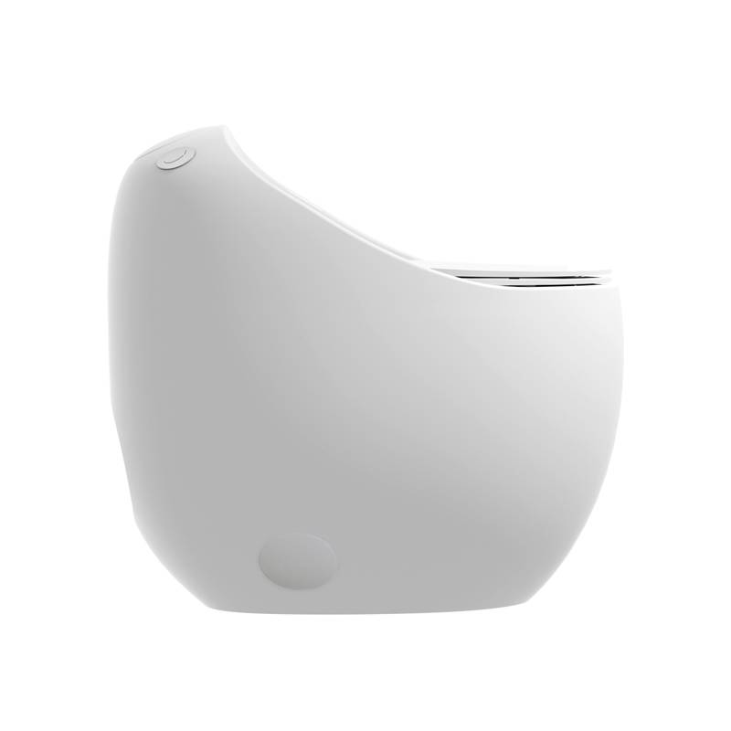Sleek Egg-Shaped Toilet in Glossy White