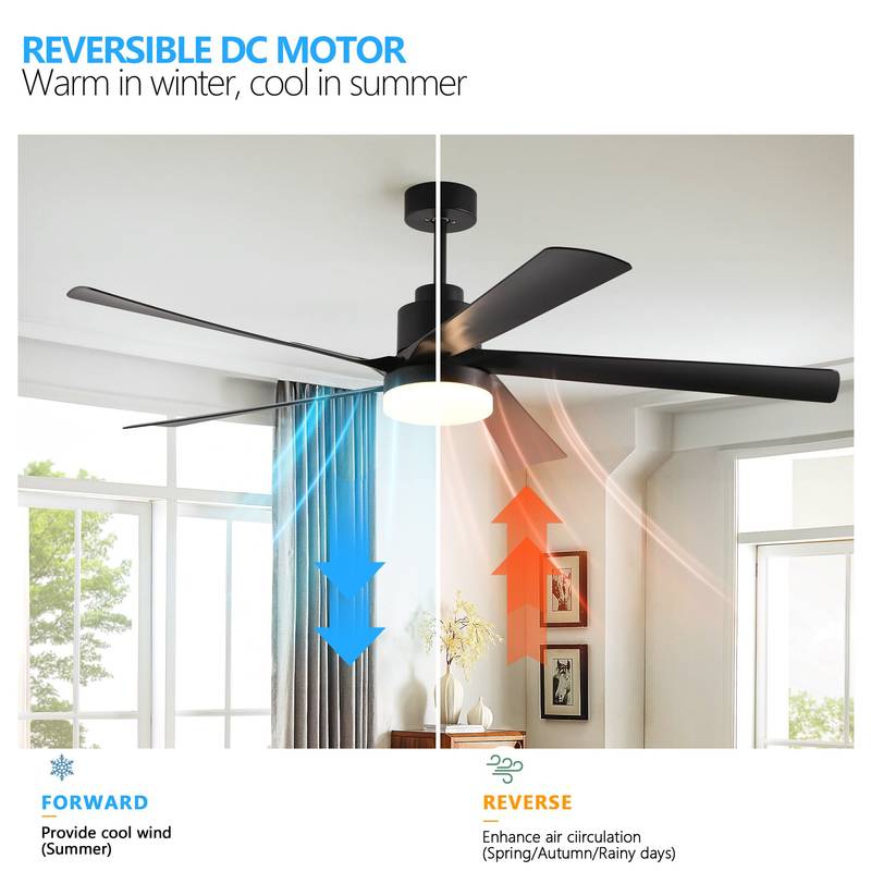 Sleek Black Ceiling Fan with Light and Remote – Modern & Quiet for Any Room