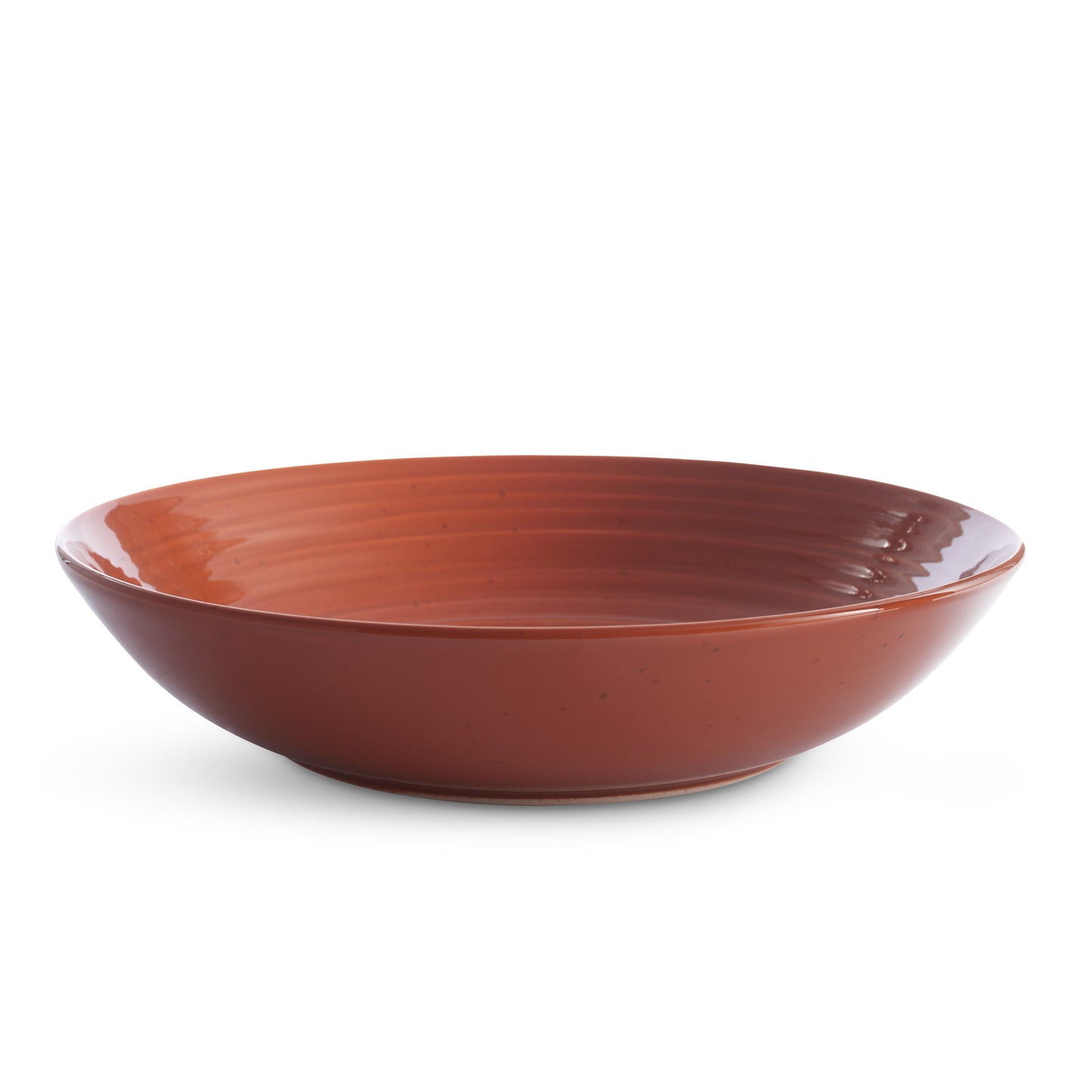 Sitra PaintPalette Mixed Dinner Bowls