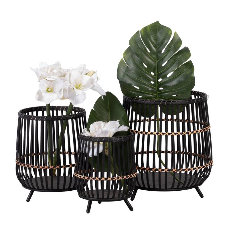 Bamboo Delight Plant Set - Stylish Black Planters