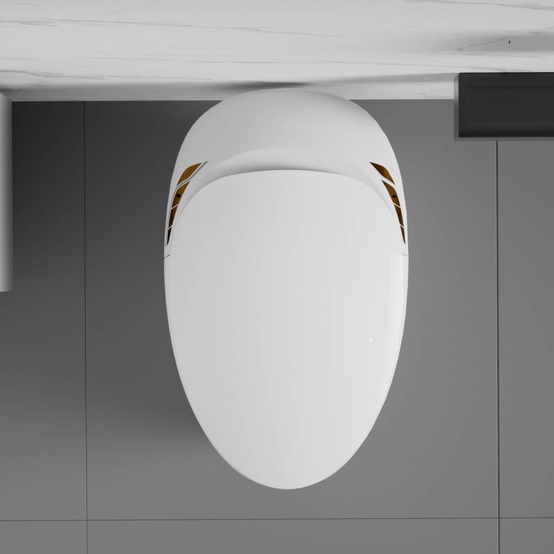 Smart Bidet Toilet: Luxury Comfort & High-Tech Features