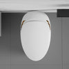 Smart Bidet Toilet: Luxury Comfort & High-Tech Features