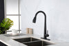 Sleek Pull-Down Kitchen Faucet