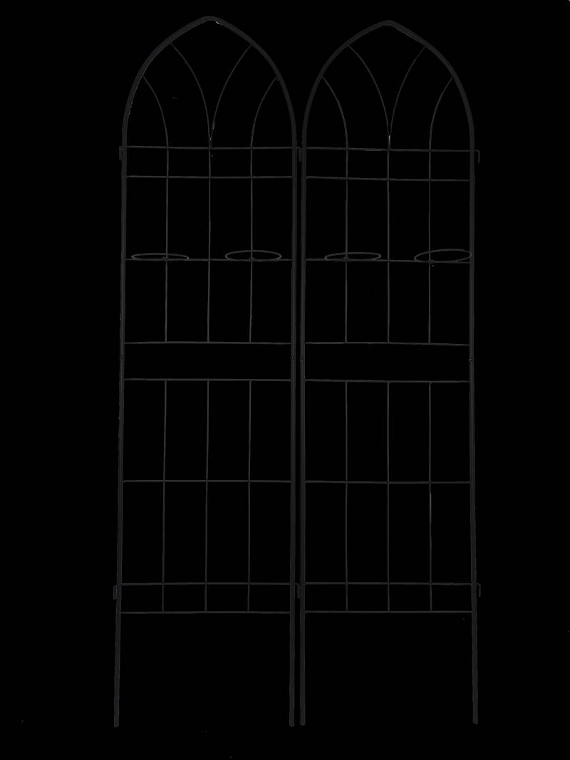 Dynamic Duo Garden Trellis - Rustproof Support for Climbing Plants