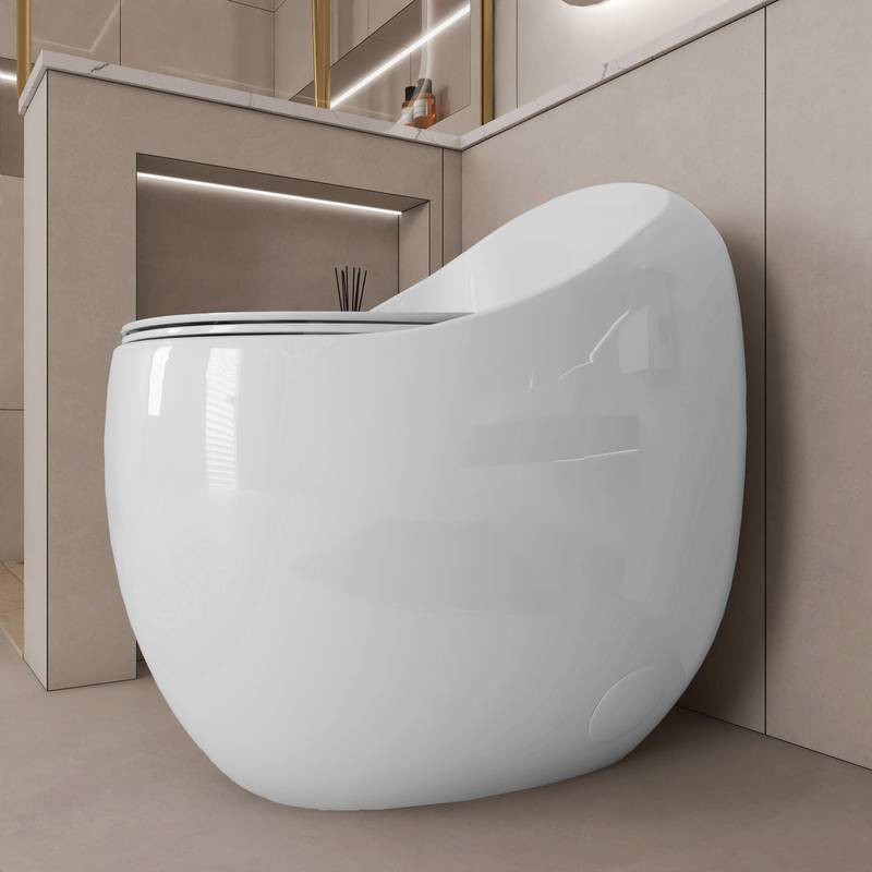 Sleek Egg-Shaped Toilet in Glossy White