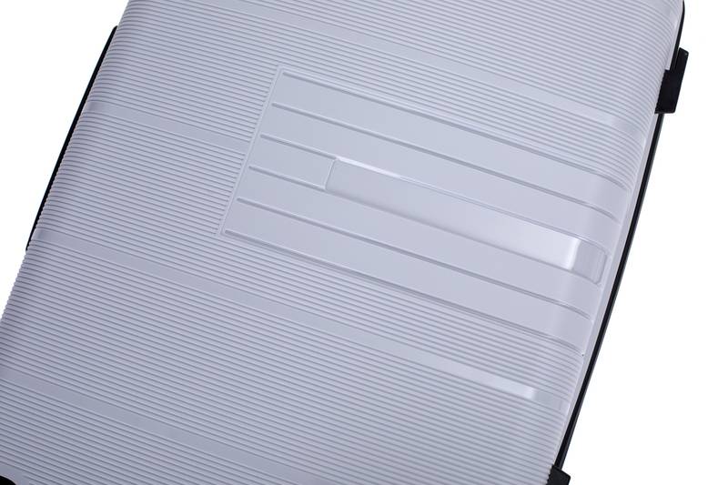 Silver Spin & Secure Luggage Set