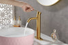 Sleek Modern Bathroom Faucet