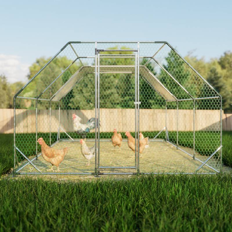 Spacious Galvanized Chicken Coop and Run