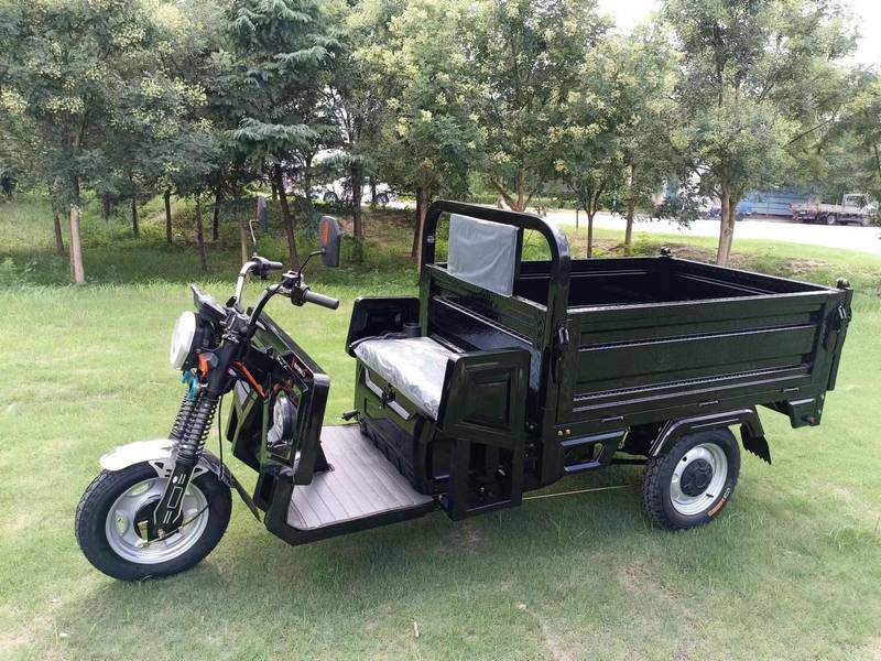 E-Z Ride Electric Trike