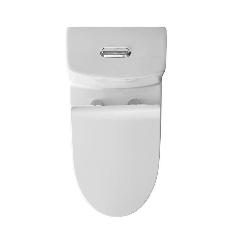 Sleek Dual Flush One-Piece Toilet with Soft-Close Seat