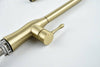Gold Pull-Down Kitchen Faucet