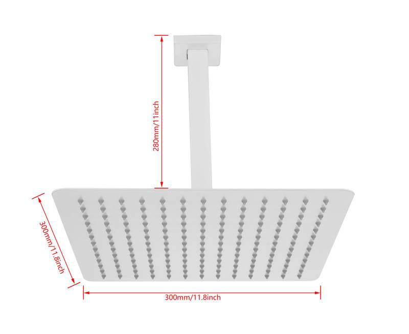 Cloudburst Rain Shower Head