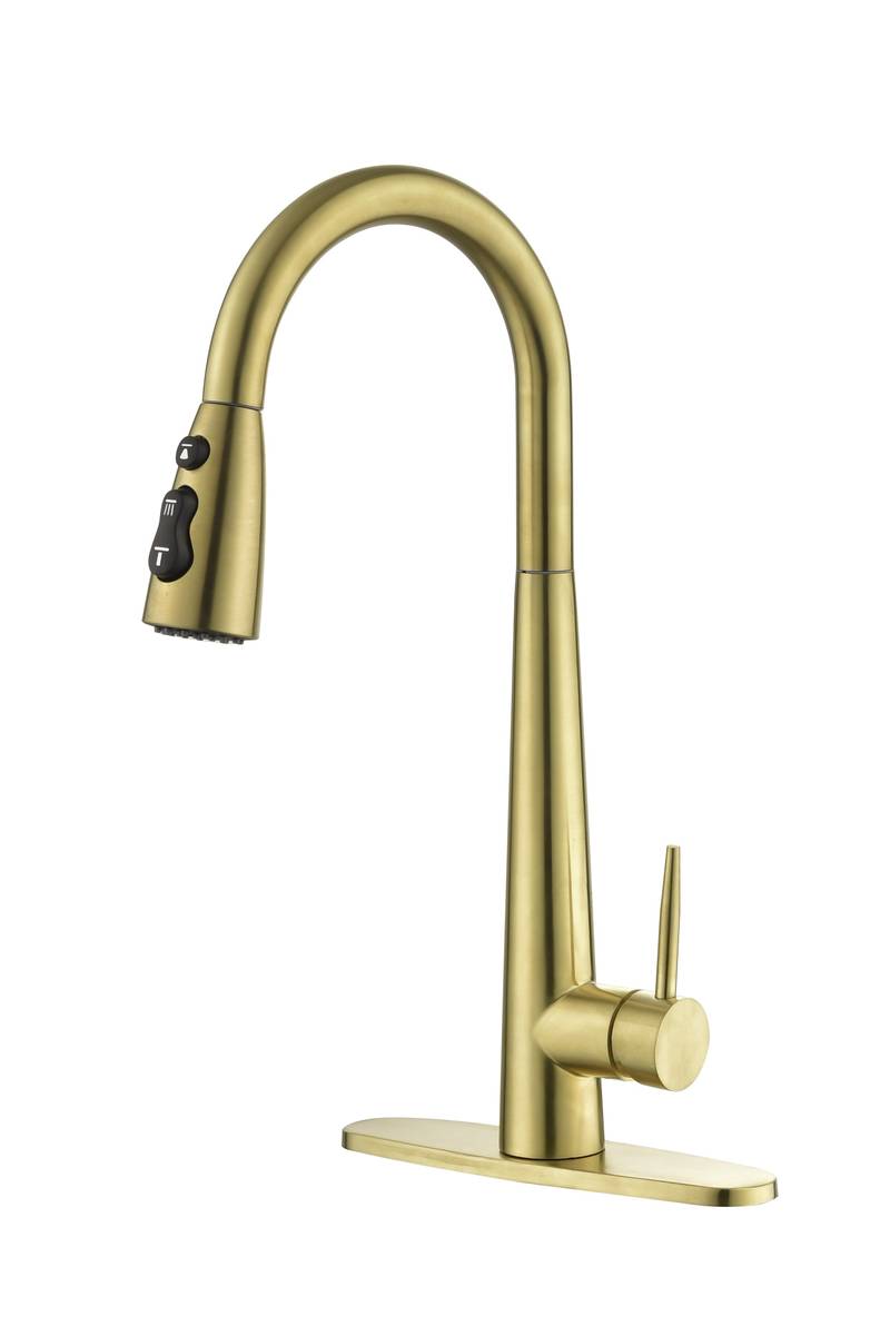 Sleek Pull-Down Kitchen Faucet