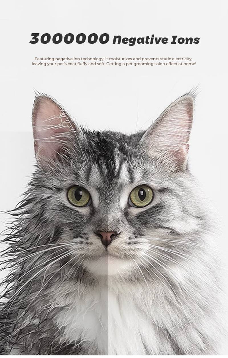 Paw Dry Lounge