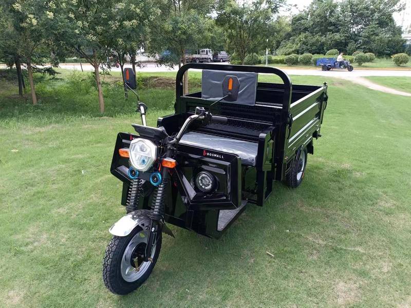 E-Z Ride Electric Trike