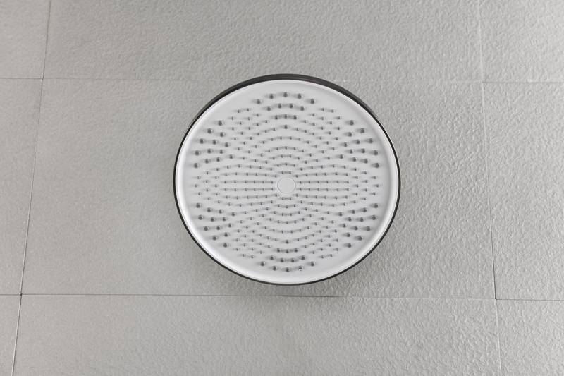 Rainfall Bliss Shower Head