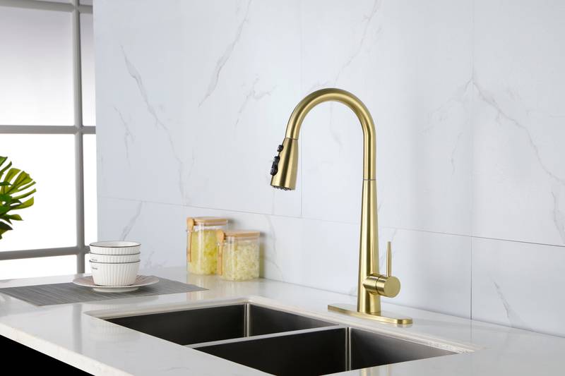 Sleek Pull-Down Kitchen Faucet