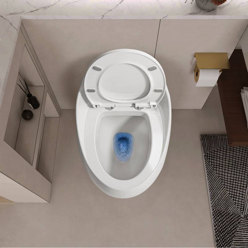 Sleek Egg-Shaped Toilet in Glossy White