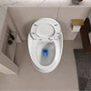 Sleek Egg-Shaped Toilet in Glossy White