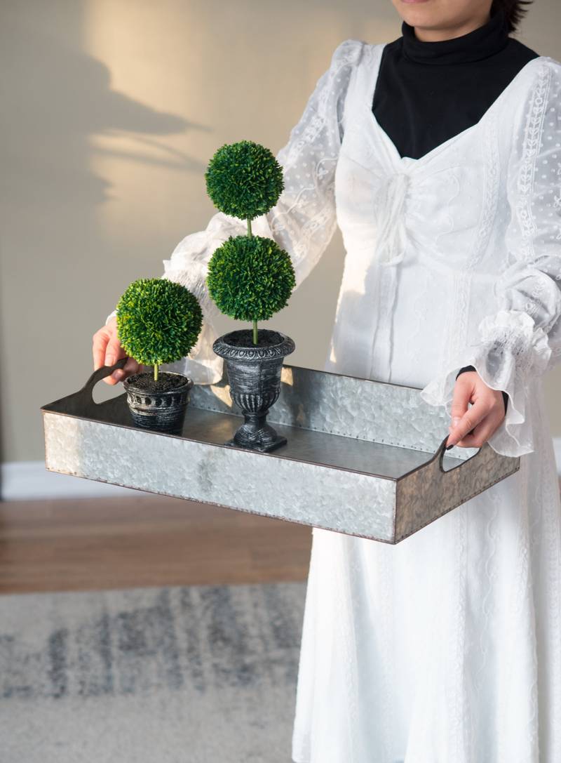 Chic Gray Nesting Trays Set