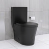 Sleek Black Eco-Friendly Toilet