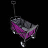 Purple Flexi Wagon: The Ultimate Collapsible Cart for All Your Adventures!