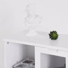 Chic White Glass Door Cabinet