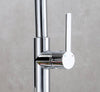 Sleek Pull-Down Kitchen Faucet