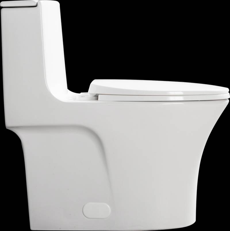 EcoFlush Comfort Toilet