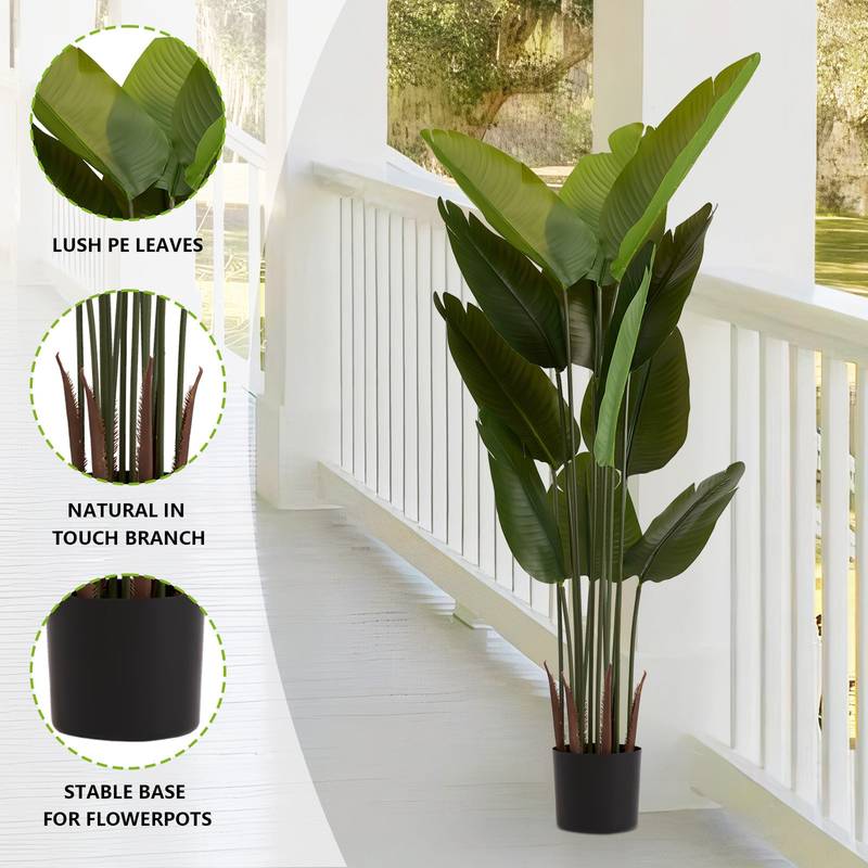 Lush Greenery Duo - Perfect for Any Space!