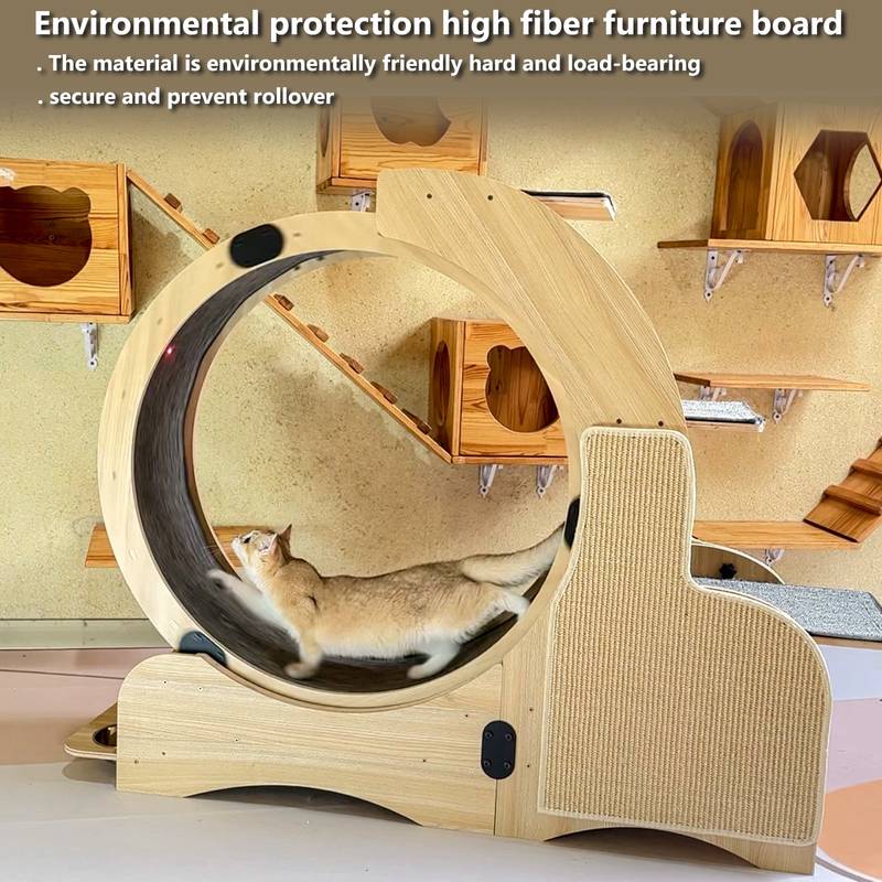 PurrfectPlay Activity Wheel for Cats