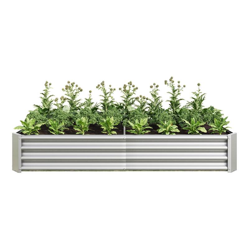 Shiny Silver Garden Bed for Fresh Greens