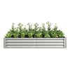 Shiny Silver Garden Bed for Fresh Greens