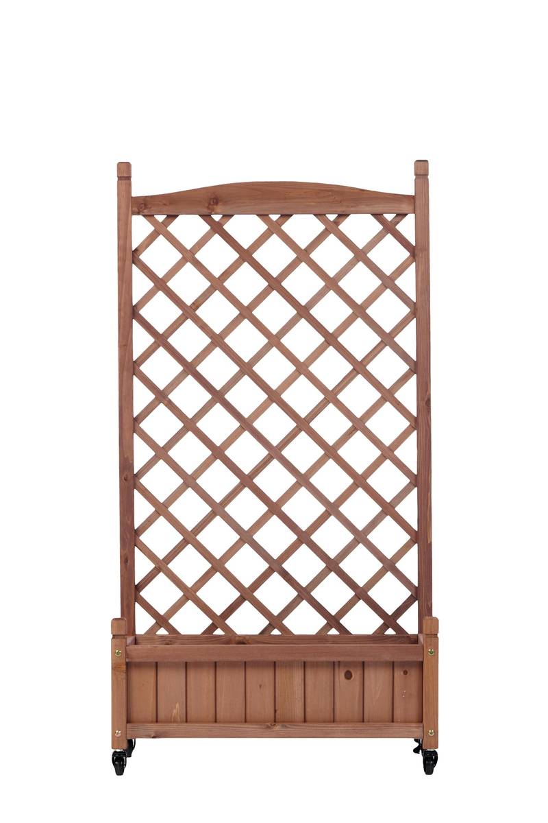 Garden Oasis Duo: Raised Planter with Climbing Trellis
