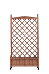 Garden Oasis Duo: Raised Planter with Climbing Trellis