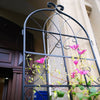 Climbing Support Trellis Set