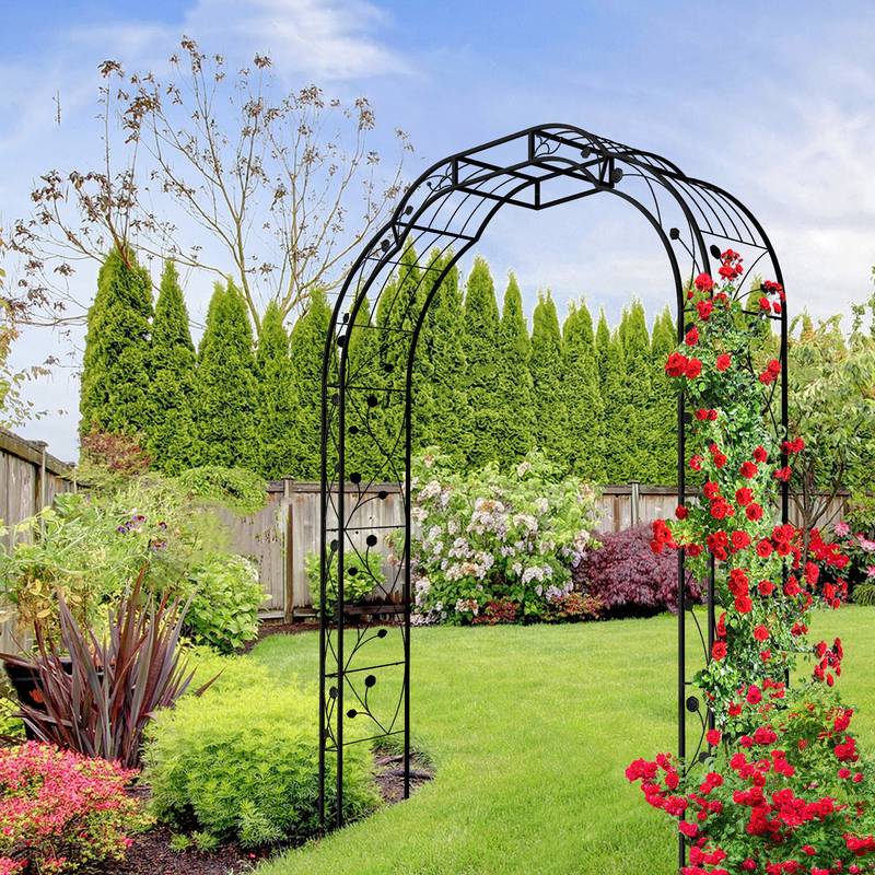Elegant Climbing Arch for Garden Plants
