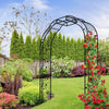 Elegant Climbing Arch for Garden Plants