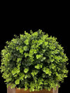 Charming Faux Topiary in Rustic Redwood Pot