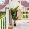 Lush Greenery Duo - Perfect for Any Space!