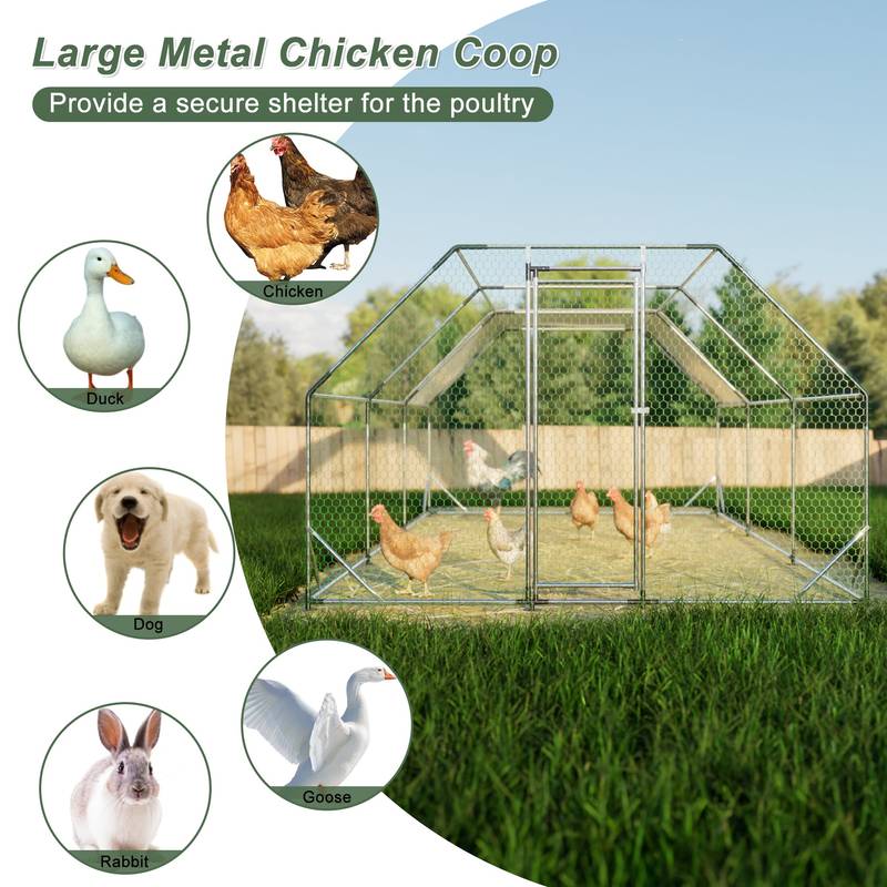 Spacious Galvanized Chicken Coop and Run