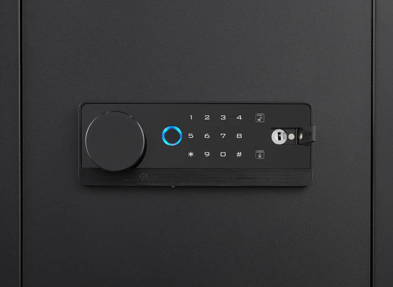 Secure & Smart Home Safe