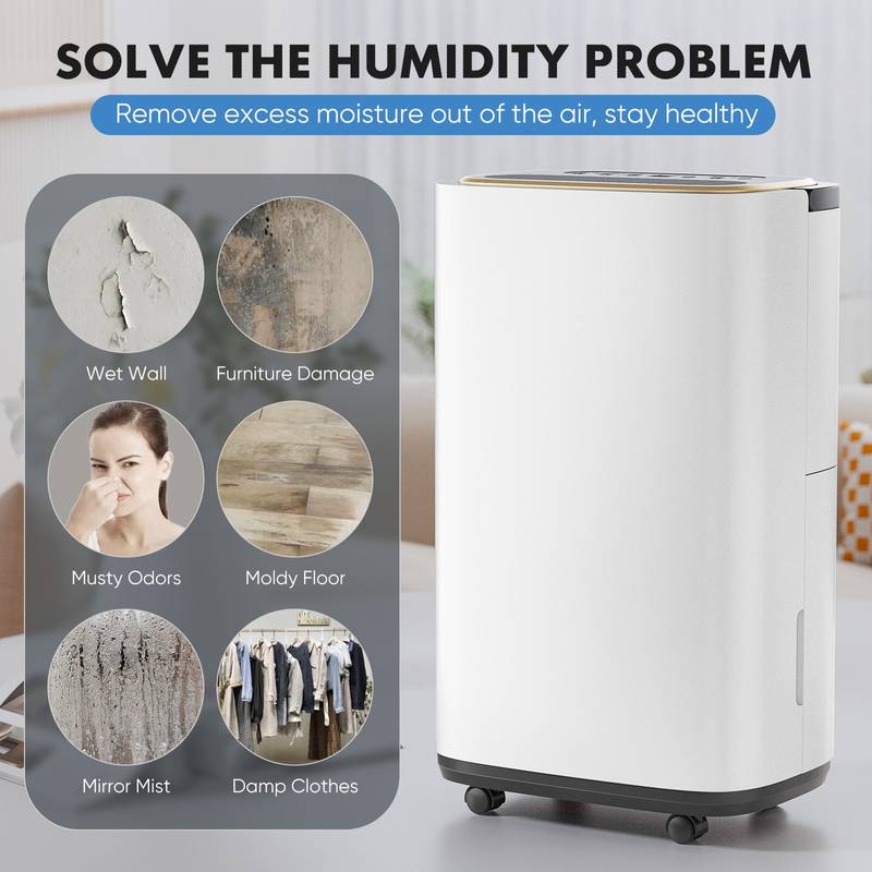 Moisture Master: Portable Dehumidifier for Your Home