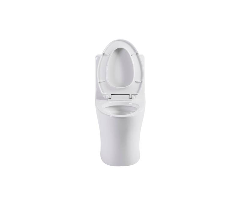 Eco-Friendly Comfort Toilet with Dual Flush and Soft Close Seat