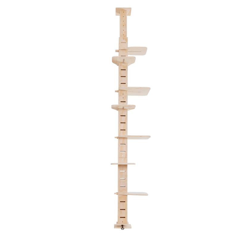 Cat Paradise Climbing Tower