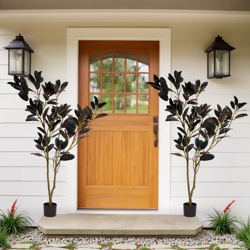 Chic Indoor Bonsai Plant Decor