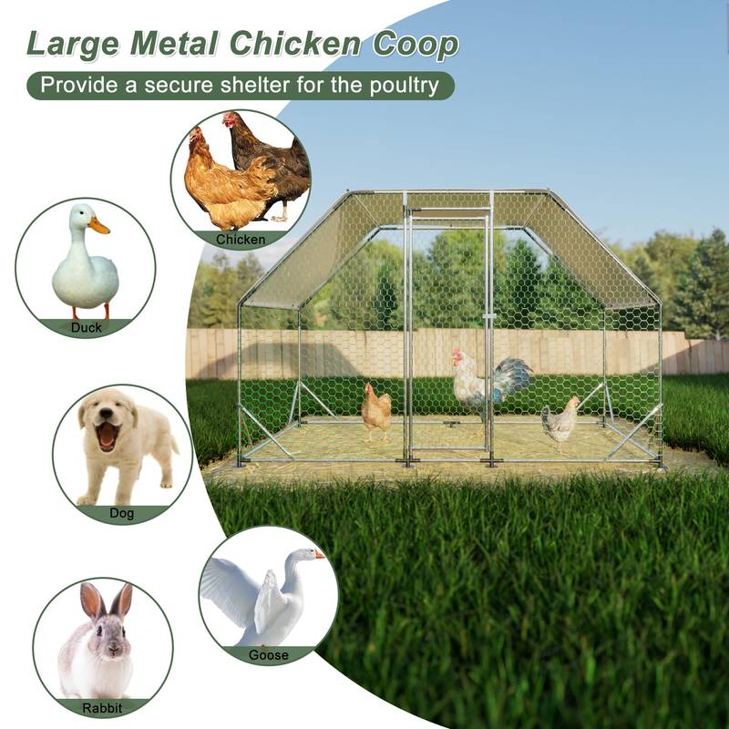Walk-In Chicken Coop with Waterproof Cover