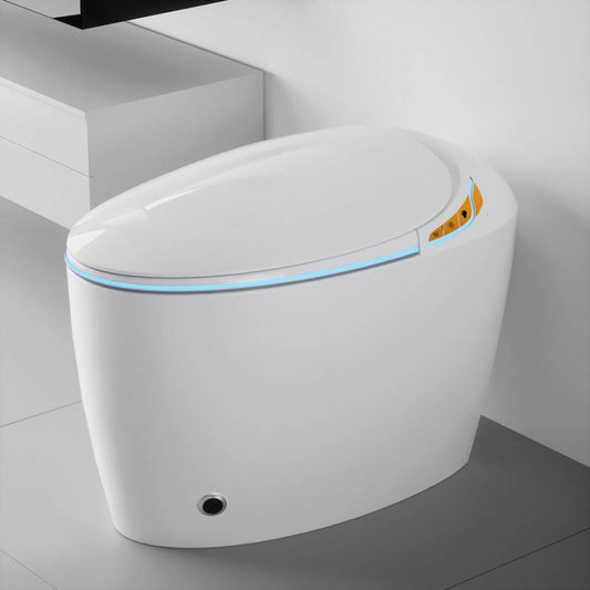 Smart Bidet Toilet: Luxury Comfort & High-Tech Features