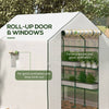Sunny Garden Walk-In Greenhouse with Roll-Up Door & Shelves